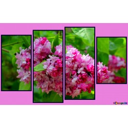 Модульные картины