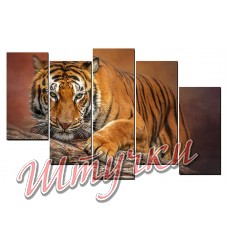 Модульная картина "Тигр"